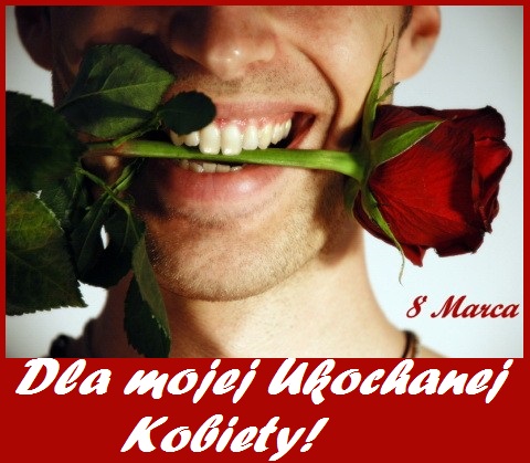 Róża w zębach 8 marca